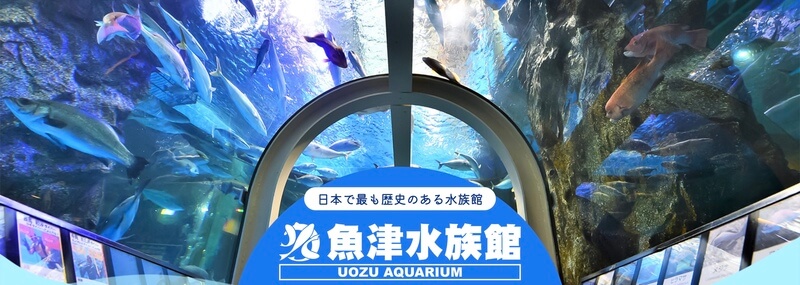 魚津水族館