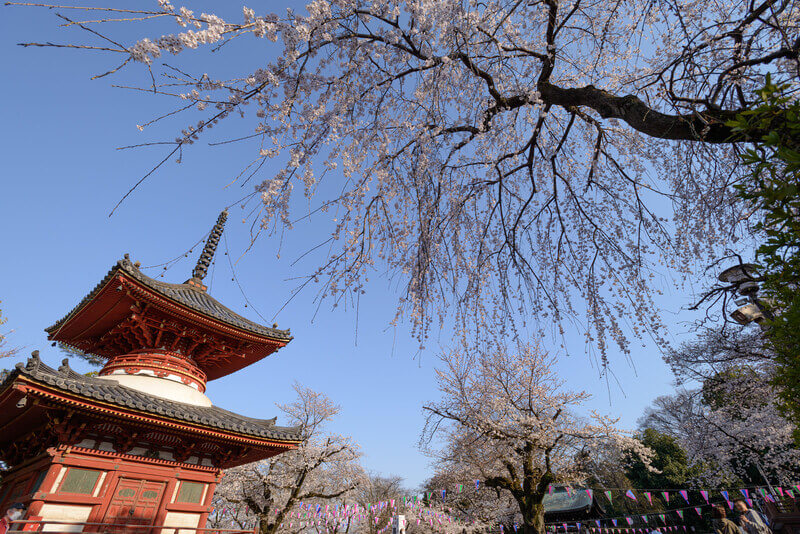 川越大師 喜多院